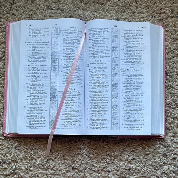 Pink and Brown Faux Leather Holy Bible (NASB Translation) - Picture 12 of 13